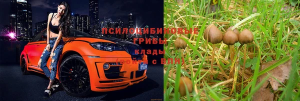 a pvp Горнозаводск