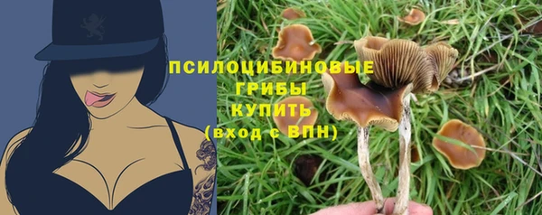 a pvp Горнозаводск