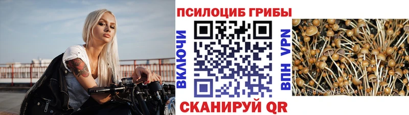 Галлюциногенные грибы мицелий  магазин продажи   Искитим 