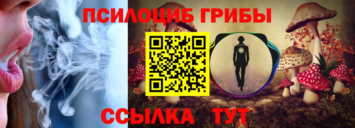 Искитим  Псилоцибиновые грибы Psilocybe  цена   Вход с VPN  Галлюциногенные грибы MAGIC MUSHROOMS 