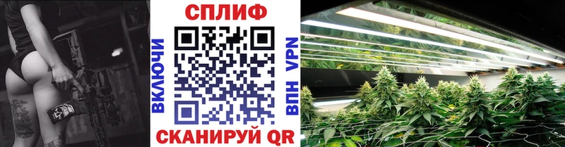 Бошки марихуана THC 21% Искитим